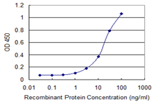 10 - TAF12 Antibody (monoclonal) (M11) AT4142a