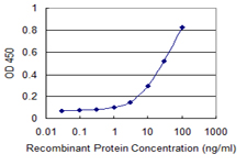 10 - TAGLN Antibody (monoclonal) (M01) AT4149a