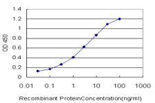 10 - TAPBPL Antibody (monoclonal) (M02) AT4151a