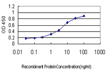10 - TCEB3 Antibody (monoclonal) (M01) AT4180a