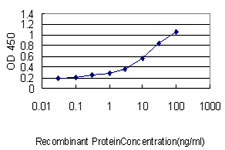 10 - TEX264 Antibody (monoclonal) (M01) AT4211a