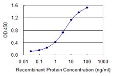10 - TGOLN2 Antibody (monoclonal) (M02) AT4230a