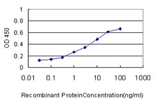10 - TIMM8A Antibody (monoclonal) (M01) AT4239a