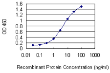 10 - TIPIN Antibody (monoclonal) (M01) AT4247a