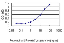 10 - TMEPAI Antibody (monoclonal) (M01) AT4265a