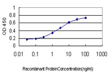 10 - TNFSF12 Antibody (monoclonal) (M01) AT4285a