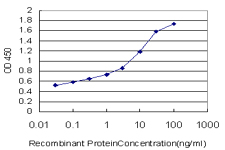 10 - TNXB Antibody (monoclonal) (M01) AT4296a