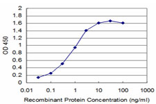 10 - TRIM16 Antibody (monoclonal) (M02) AT4342a