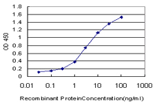 10 - TRIM49 Antibody (monoclonal) (M01) AT4356a