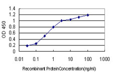 10 - TSC22D3 Antibody (monoclonal) (M01) AT4374a