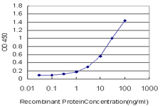 10 - TSC22D4 Antibody (monoclonal) (M07) AT4376a