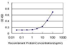 10 - TSC22D4 Antibody (monoclonal) (M08) AT4377a