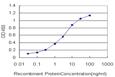 10 - TSSK1 Antibody (monoclonal) (M01) AT4383a
