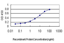 10 - TUBG2 Antibody (monoclonal) (M01) AT4407a