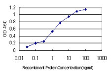 10 - TXNL4A Antibody (monoclonal) (M01) AT4420a