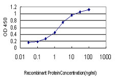 10 - UBE2E2 Antibody (monoclonal) (M01) AT4434a