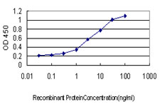 10 - UBE2G2 Antibody (monoclonal) (M01) AT4436a