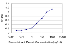 10 - UBE2J1 Antibody (monoclonal) (M01) AT4438a