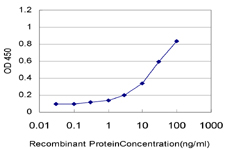 10 - UBE2Q2 Antibody (monoclonal) (M04) AT4442a