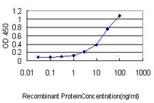 10 - UBL3 Antibody (monoclonal) (M05) AT4447a
