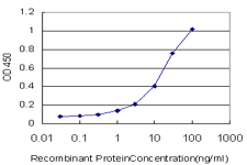 10 - UGT2B10 Antibody (monoclonal) (M01) AT4460a