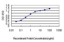 10 - USP31 Antibody (monoclonal) (M01) AT4486a