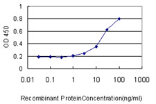10 - USP34 Antibody (monoclonal) (M01) AT4488a