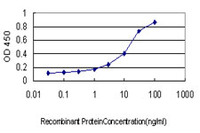 10 - USP48 Antibody (monoclonal) (M01) AT4494a