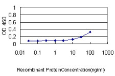 10 - VBP1 Antibody (monoclonal) (M01) AT4504a