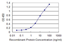 10 - VGLL1 Antibody (monoclonal) (M01) AT4510a