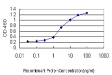 10 - WRB Antibody (monoclonal) (M04) AT4542a