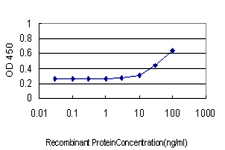 10 - XAB1 Antibody (monoclonal) (M01) AT4547a