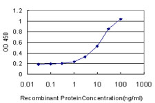 10 - XRCC6BP1 Antibody (monoclonal) (M01) AT4555a