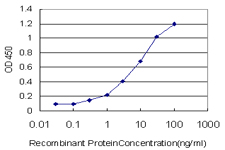 10 - ZBED1 Antibody (monoclonal) (M01) AT4568a