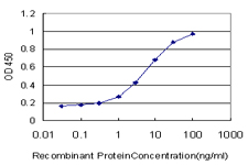 10 - ZNF131 Antibody (monoclonal) (M07) AT4587a