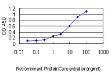 10 - ZNF143 Antibody (monoclonal) (M01) AT4590a