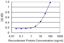 10 - ZNF193 Antibody (monoclonal) (M06) AT4595a