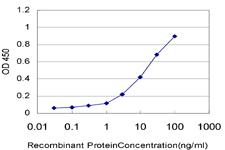 10 - ZNF24 Antibody (monoclonal) (M03) AT4613a