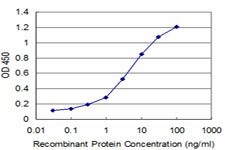 10 - ZNF263 Antibody (monoclonal) (M03) AT4616a