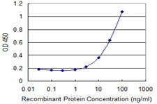 10 - ZNF266 Antibody (monoclonal) (M02) AT4619a