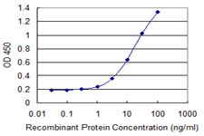 10 - ZNF3 Antibody (monoclonal) (M08) AT4624a