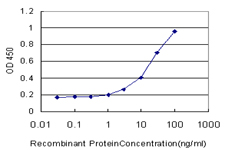 10 - ZWILCH Antibody (monoclonal) (M01) AT4650a