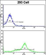 4 - EHD3 Antibody (Center) AP7458c