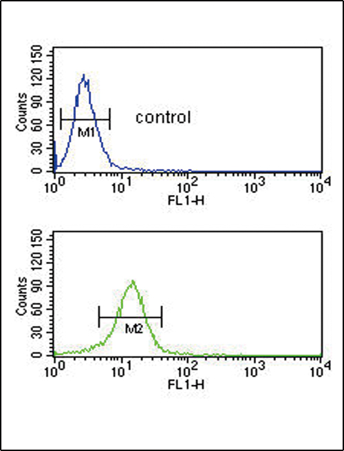 4 - COL5A2 Antibody (N-term) AP7358a