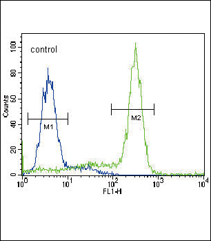 4 - MPST Antibody (C-term) AP7652b