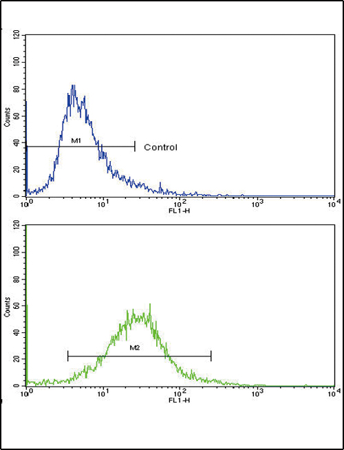 4 - COL6A1 Antibody (N-term) AP6587A
