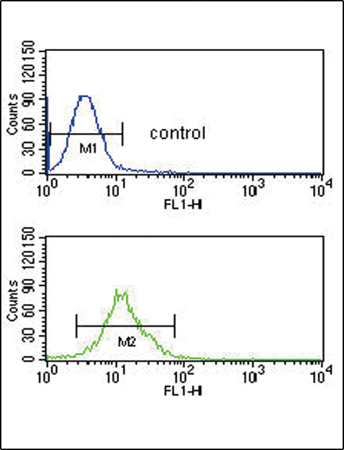 4 - SMYD3 Antibody (N-term) AP7344a