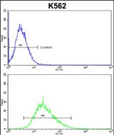 4 - ITM2A Antibody (N-term) AP6765a