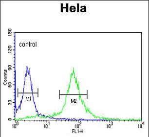 4 - PIK4CB Antibody (Center) AP6948c