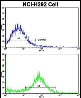 4 - VTI1A Antibody (C-term) AP8602b